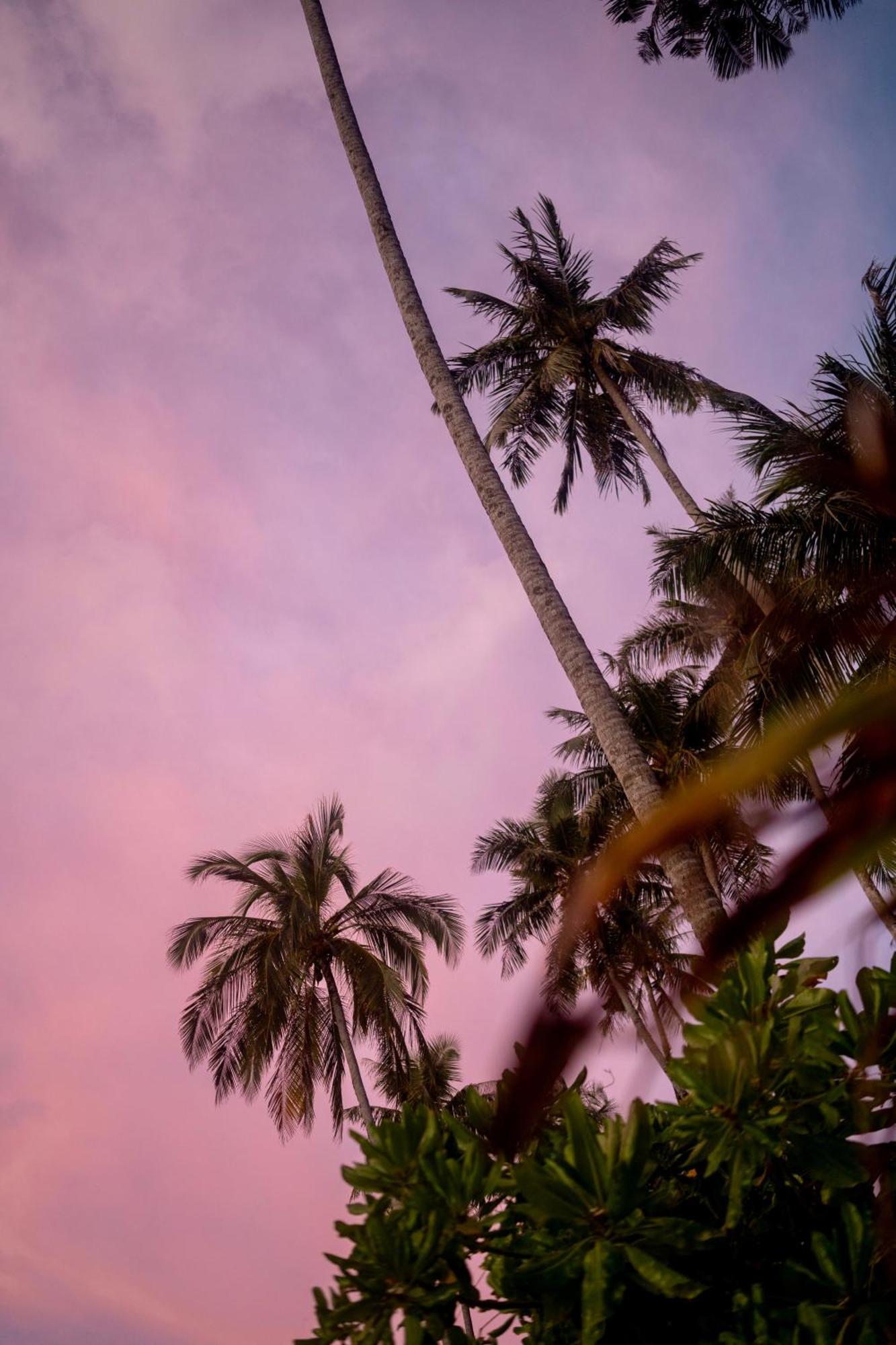 Ira Bungalows Pulau Banyak Alaban المظهر الخارجي الصورة