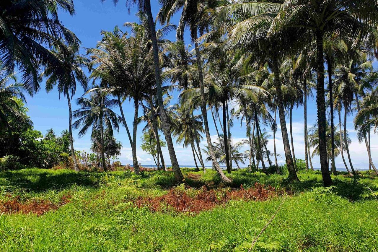 Ira Bungalows Pulau Banyak Alaban المظهر الخارجي الصورة